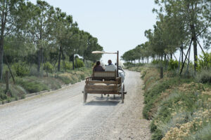 Il carro realizzato per il progetto.